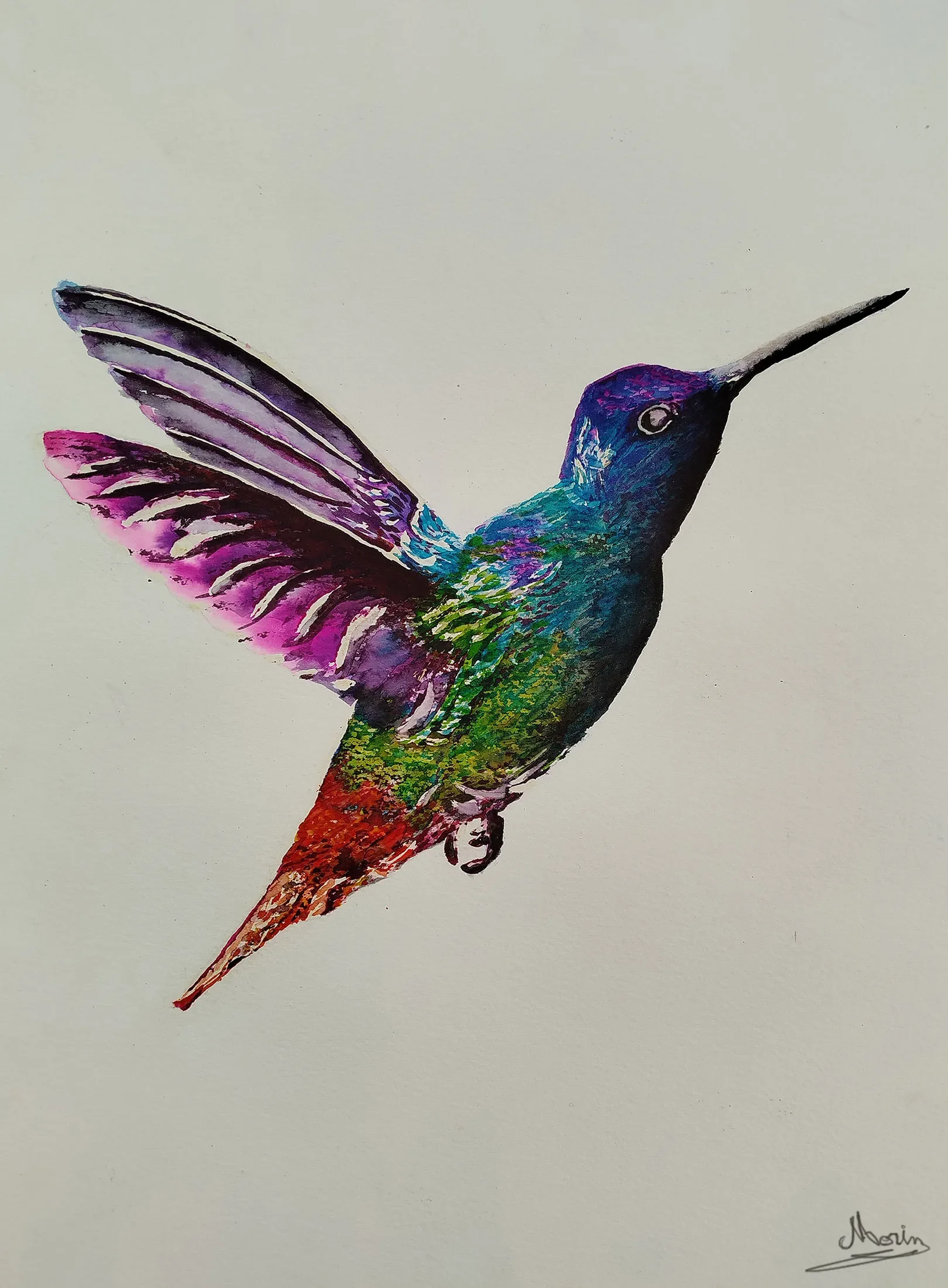 Colibri