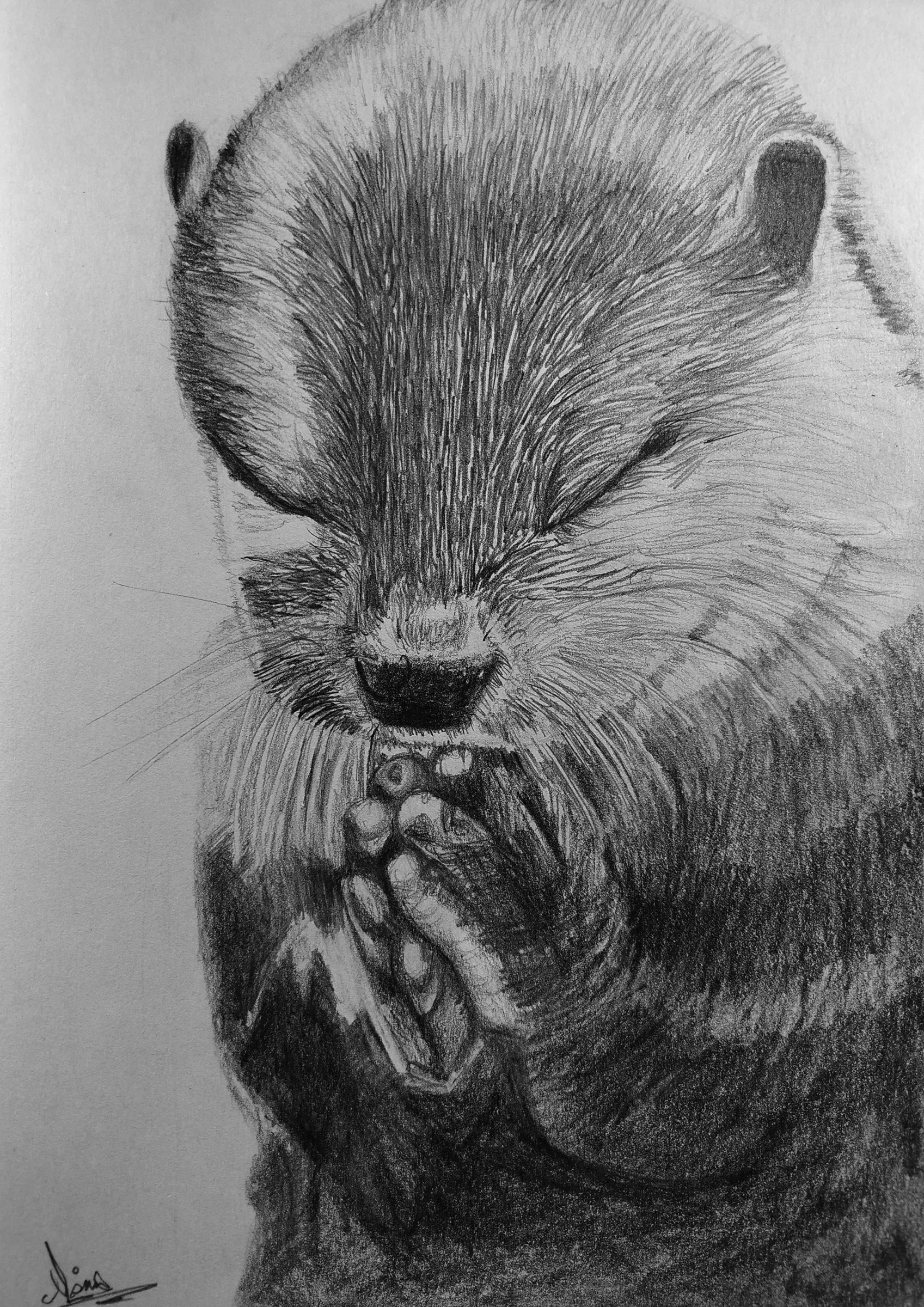 Sainte-loutre