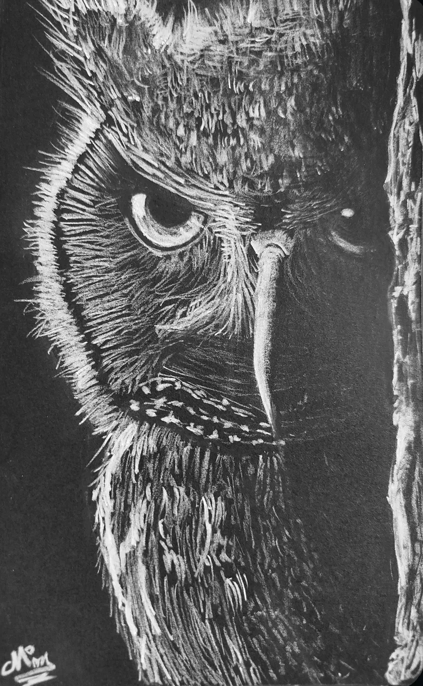 This Look Out of the Dark
